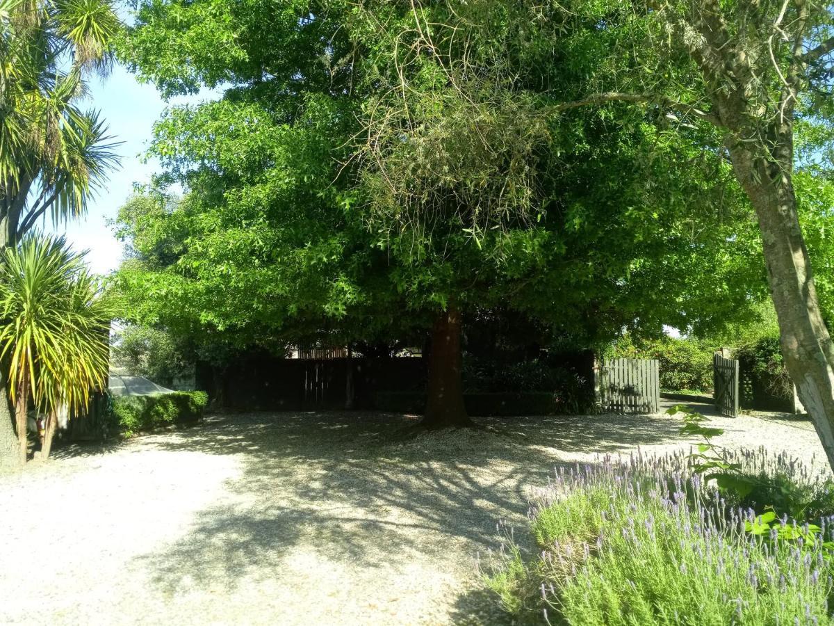 세인트레오나드 Irongate Retreat B&B 외부 사진
