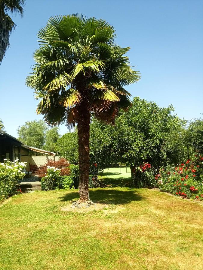 세인트레오나드 Irongate Retreat B&B 외부 사진